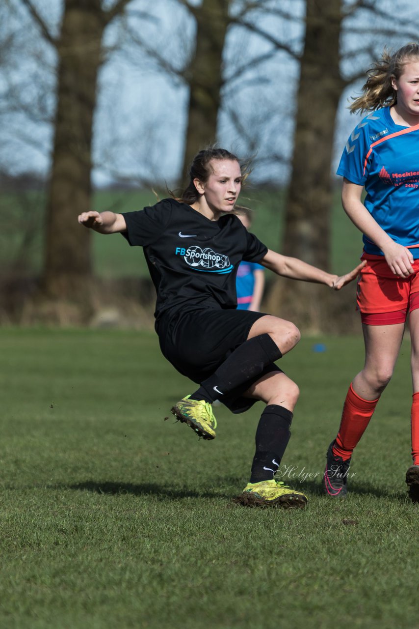 Bild 247 - C-Juniorinnen SV Steinhorst/Labenz - TSV Friedrichsberg-Busdorf : Ergebnis: 5:0